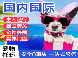 舟山机场邮寄国际宠物托运 【国